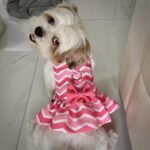 Pretty Pink Harness with frills 2