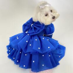 Princess of Pearls dress in Sapphire