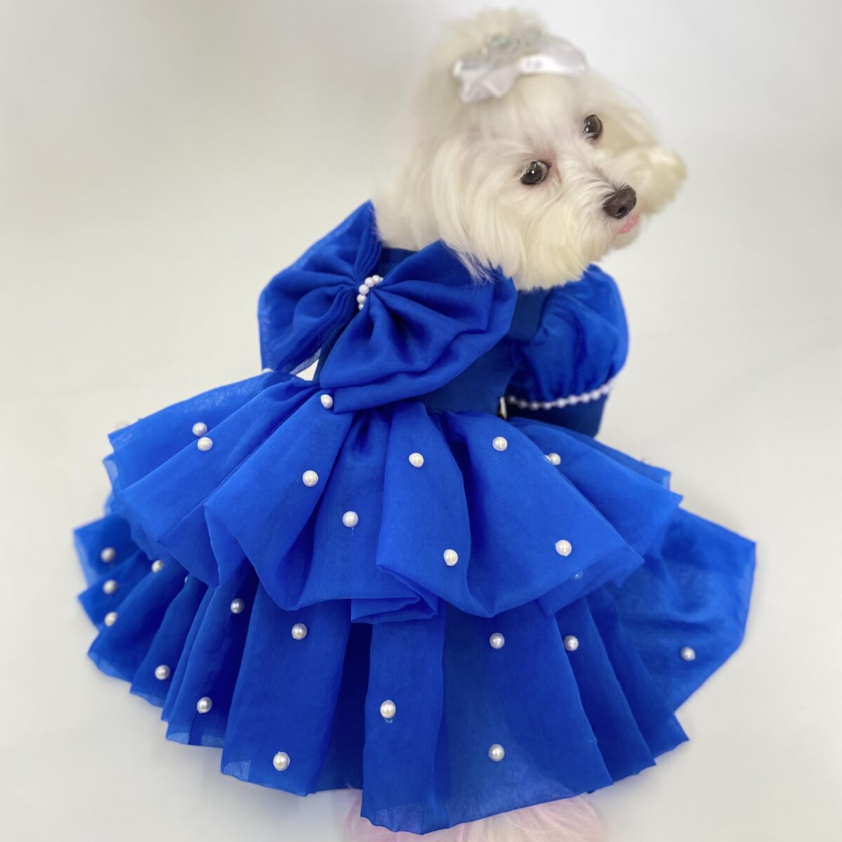Princess of Pearls dress in Sapphire 1