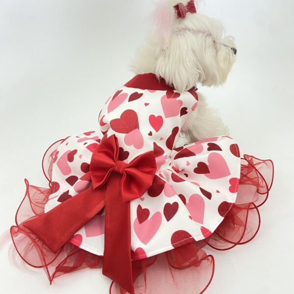 Puppy Love Crinkle skirt dress 1