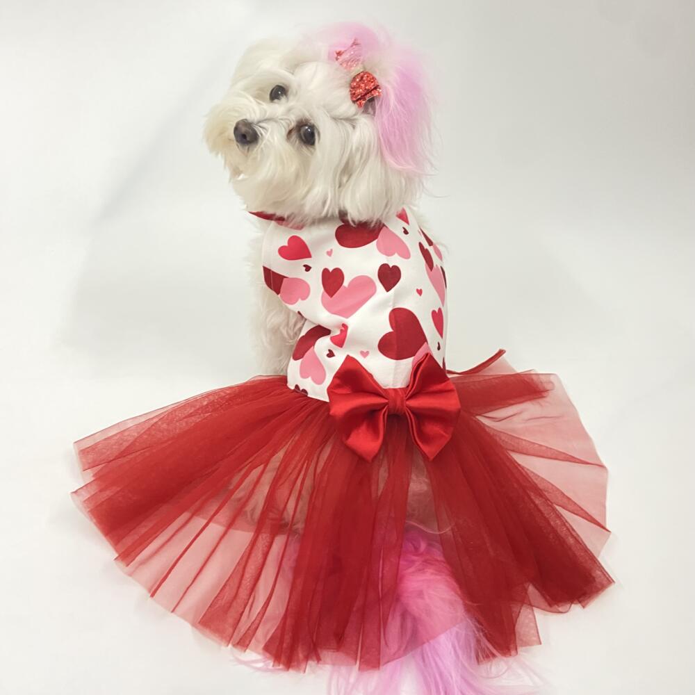 Puppy Love Red Net Dress 1