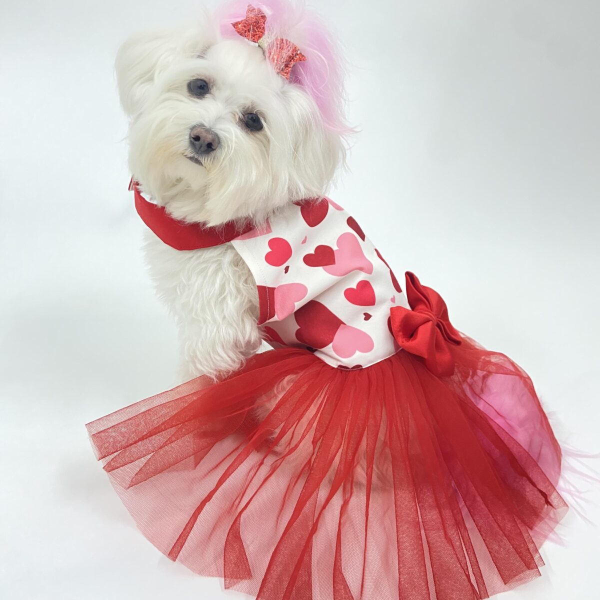 Puppy Love Red Net Dress 3