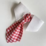 Red _ White Plaid Necktie 3