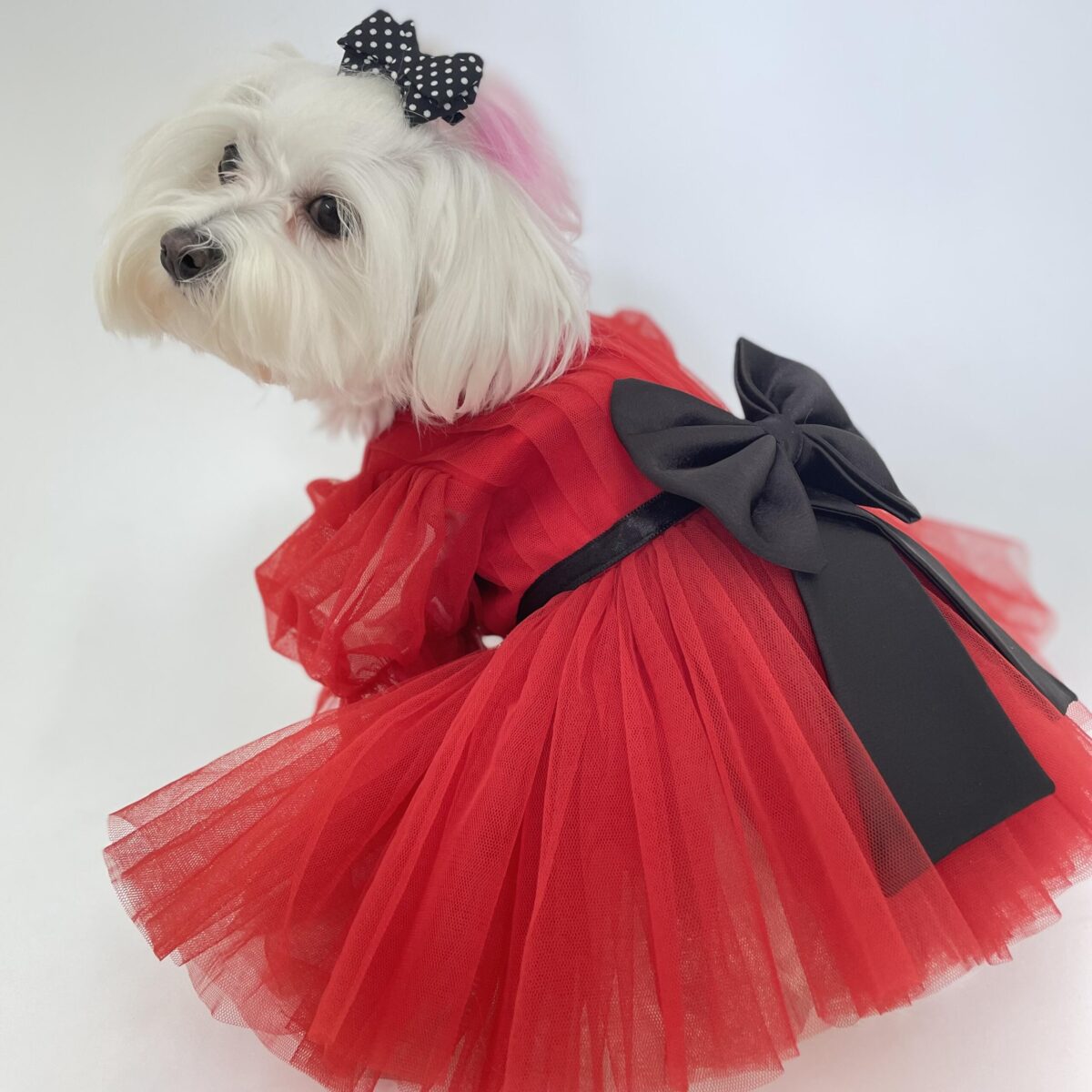 Ruby Enchanted Dress 1