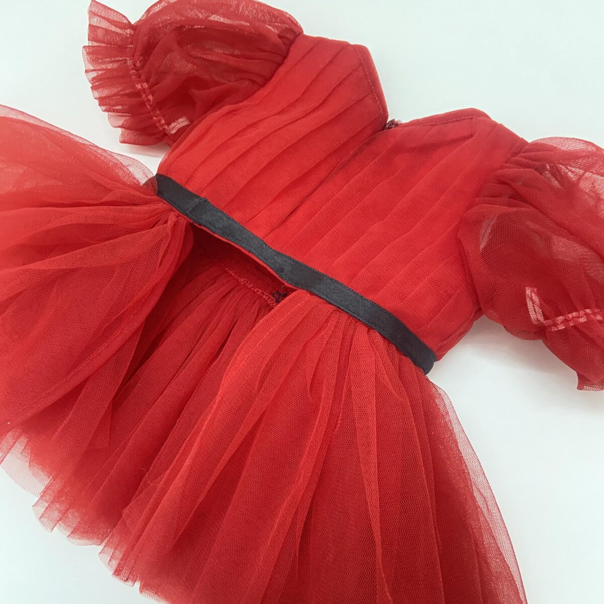Ruby Enchanted Dress 3