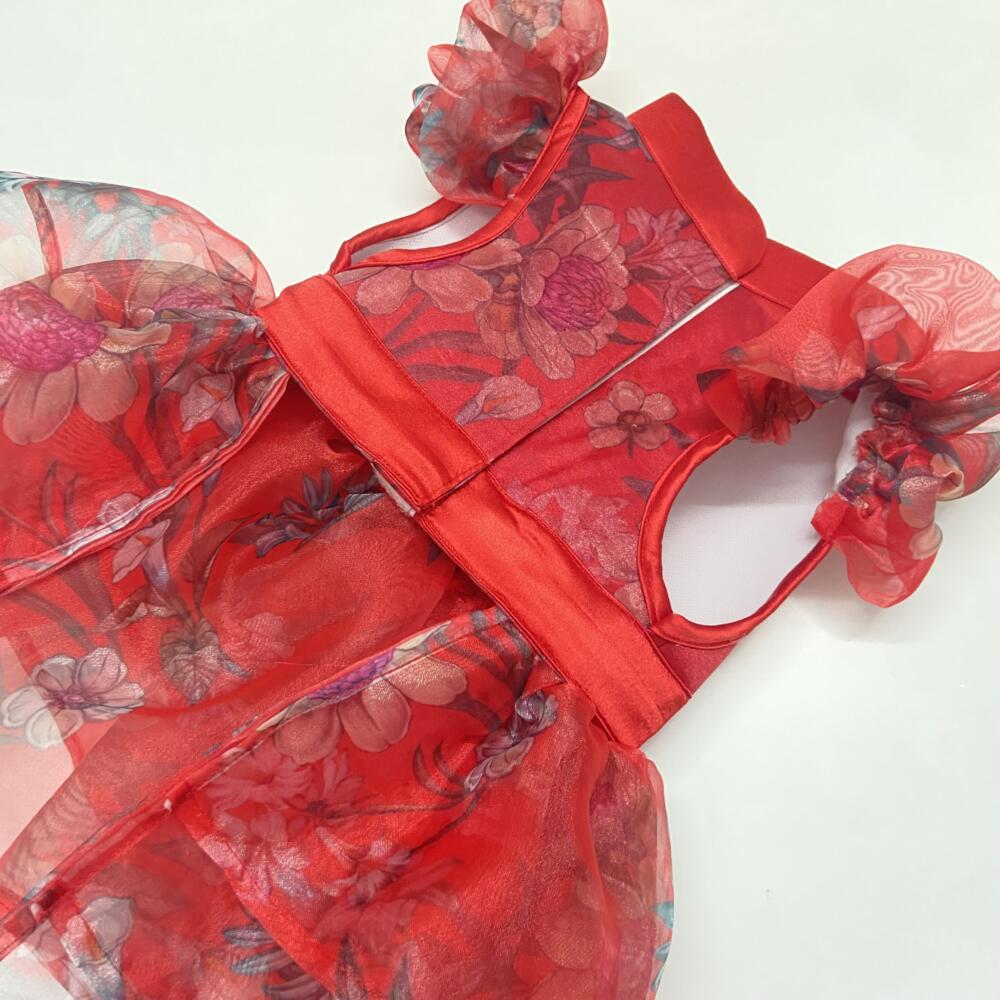 Sheer Silky Dress Ruby Bloom 3