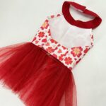 Springing Love Net Dress 3